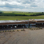 dji_fly_20250513_144500_220_1747158459588_photo_optimized